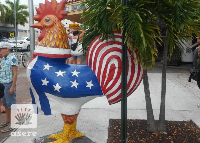 Gallo icónico del barrio de la Pequeña Habana, en Miami 