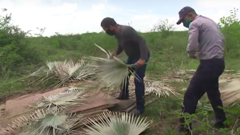 Autoridades cubanas decomisan 30 toneladas de acero escondidas en un campo de Las Tunas