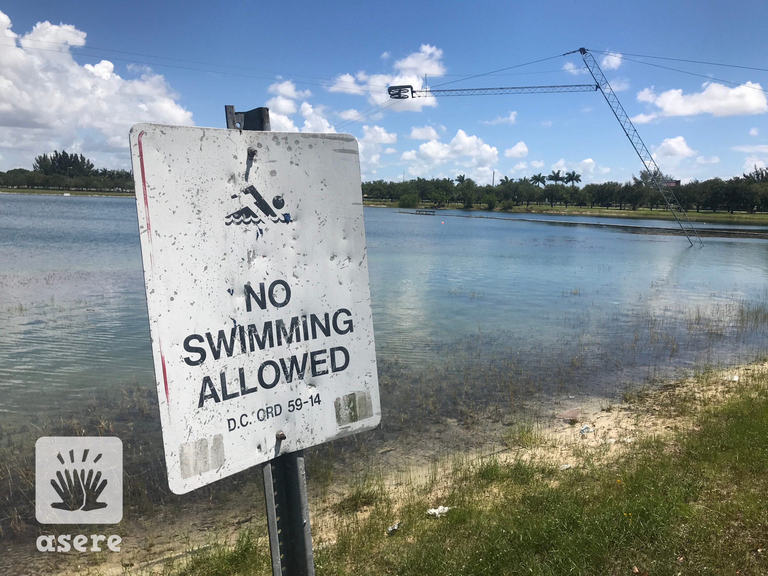 No nadar Amelia Park