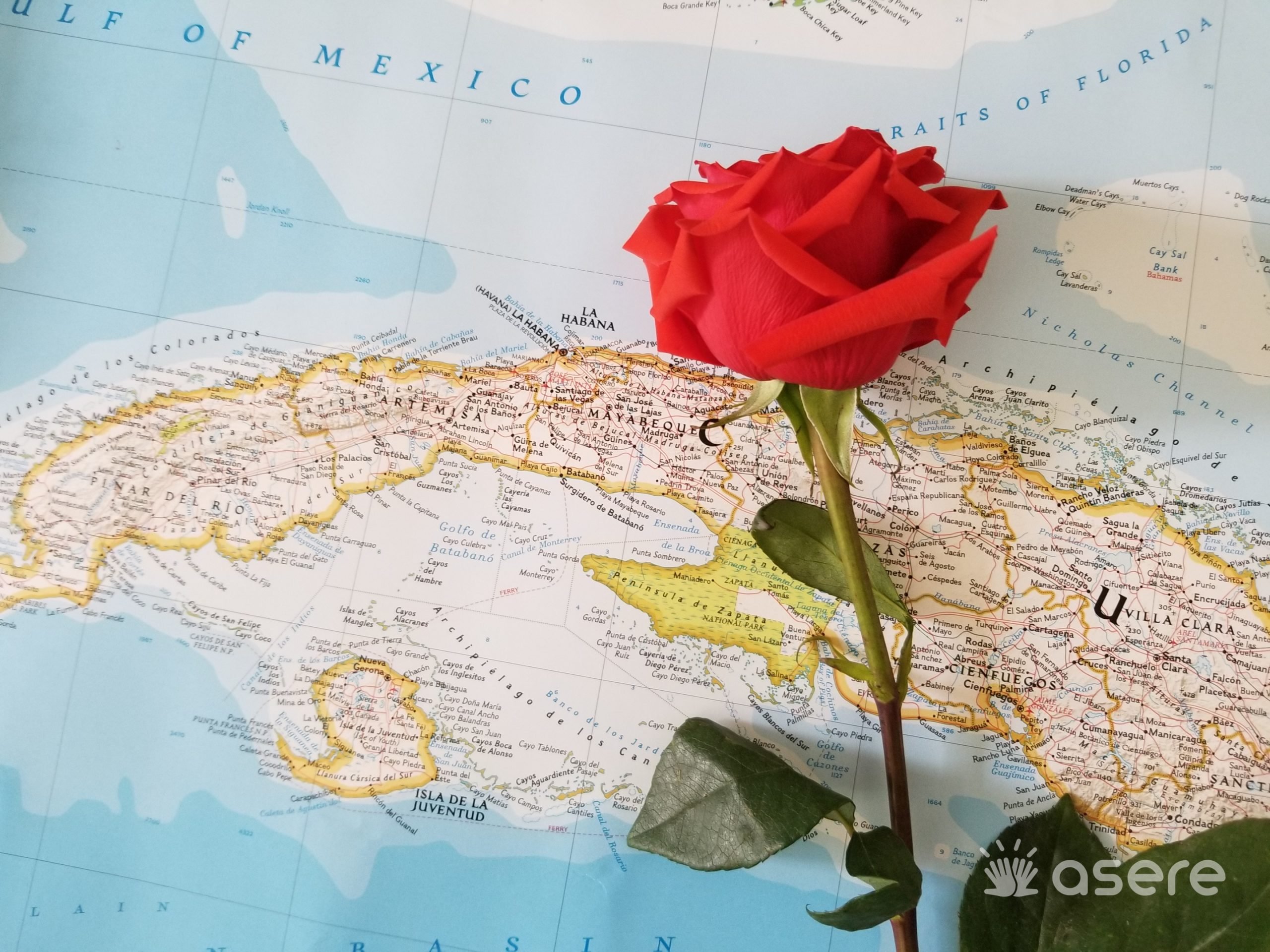 Foto ilustrativa de una rosa en el mapa de Cuba. (Foto: Asere Noticias)