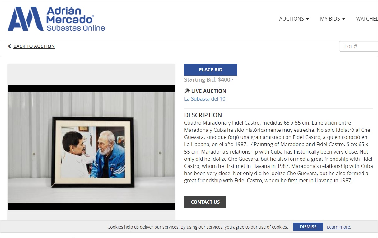 “La Subasta del 10”: piden 400 dólares como oferta inicial por una foto de Maradona con Fidel Castro