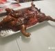 Libra de cerdo a 300 pesos denuncian aumento de precio conforme se acerca el fin de año