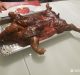 En Pinar del Río tampoco se venderá carne de cerdo para fin de año