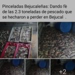 Denuncian que varias toneladas de pescado se pudrieron en Bejucal
