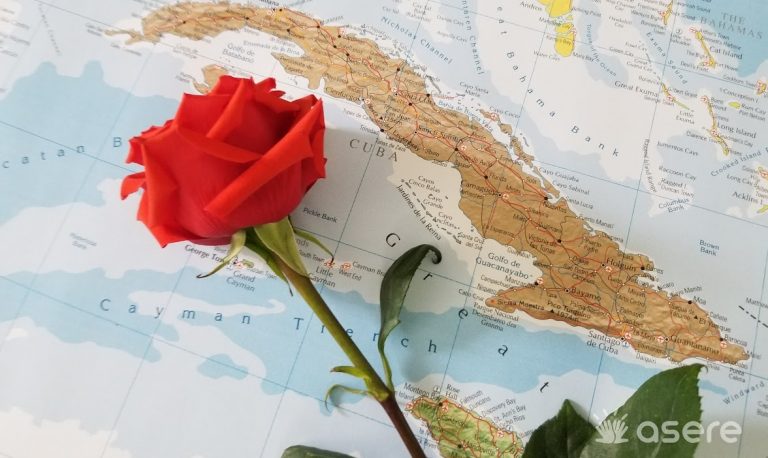 Feminicidios en Cuba se elevan a 45: hubo cuatro en la última semana