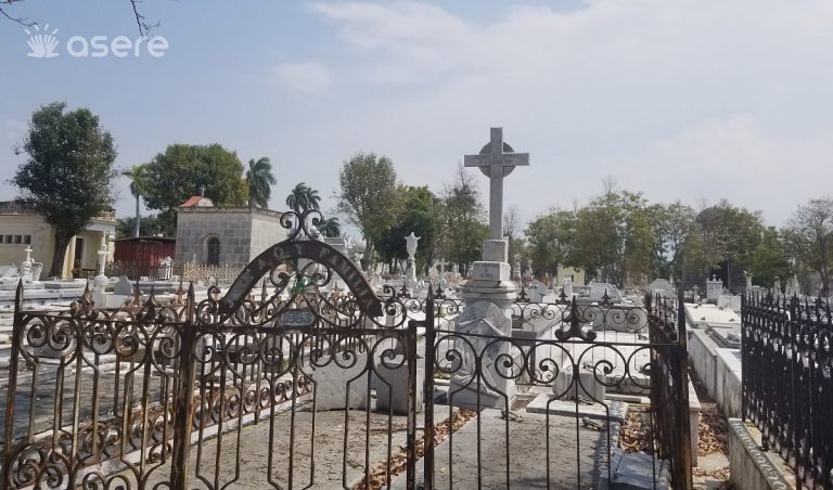 Crean registro independiente de fallecidos por arbovirosis en Cuba