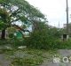 Afectaciones que provocó el Huracán Ian en Pinar del Río