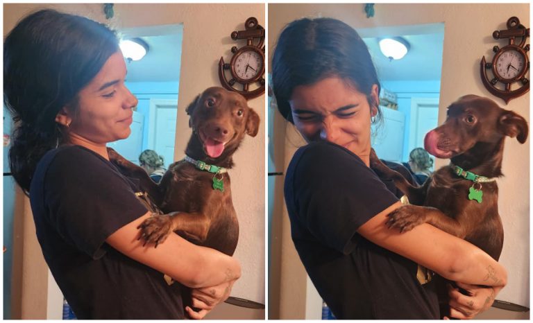 Perrito balsero logra reunirse con su familia en los Estados Unidos