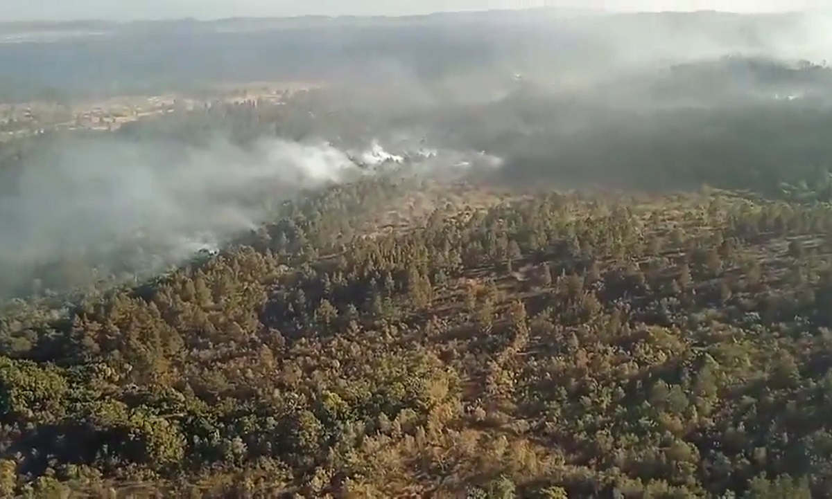 Incendio en Mayarí sigue ya ha dañado casi 1.000 hectáreas de bosque