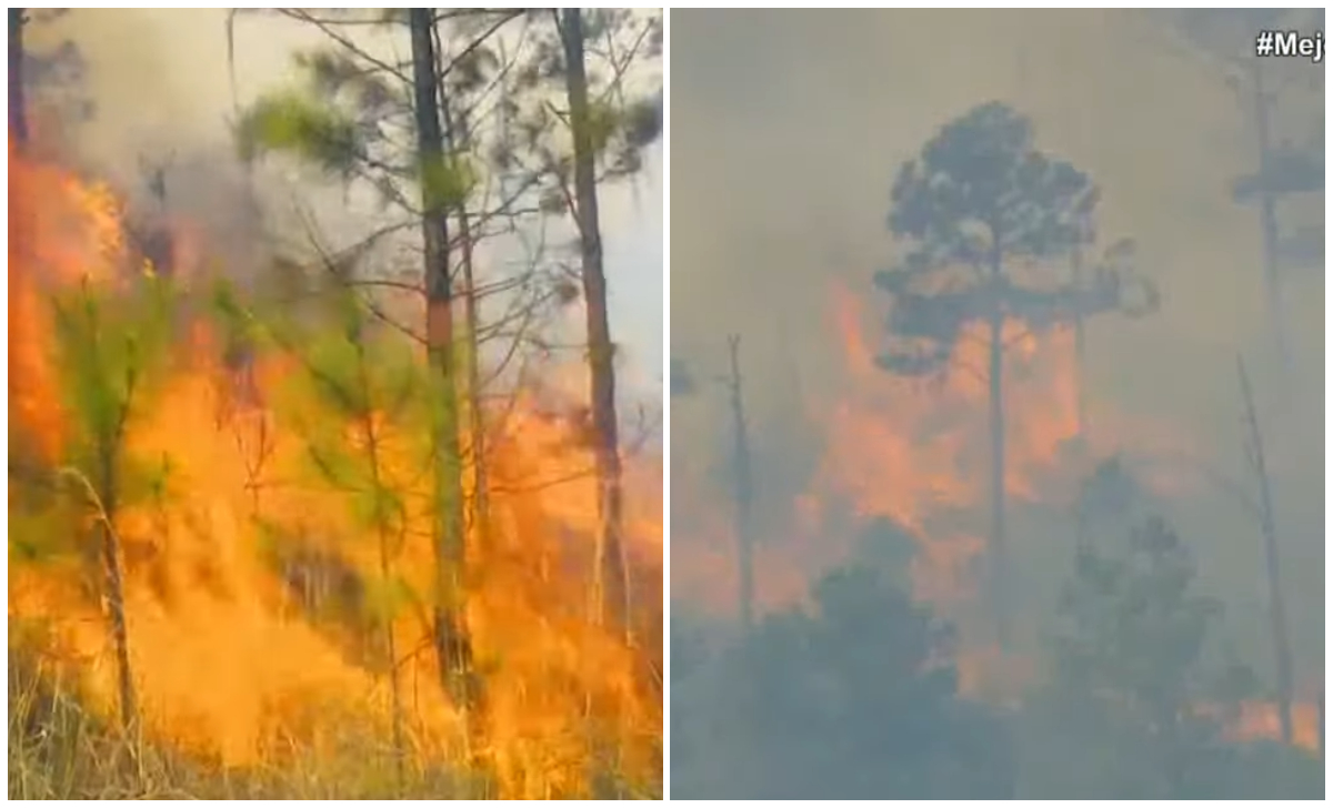 Incendio en Mayarí ha acabado con 1.700 hectáreas de bosque y amenaza a Santiago de Cuba