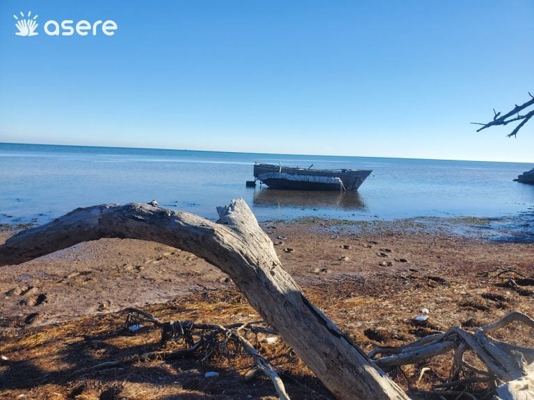 Madre cubana pide ayuda para localizar a su hijo desaparecido en el mar
