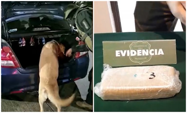 Arrestan a cubano en Chile que transportaba droga en su automóvil
