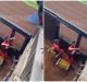 Frank Álvarez lanza pelotazo a fanático que le gritó en el Clásico Mundial de Béisbol ONLY in DADE-Instagram