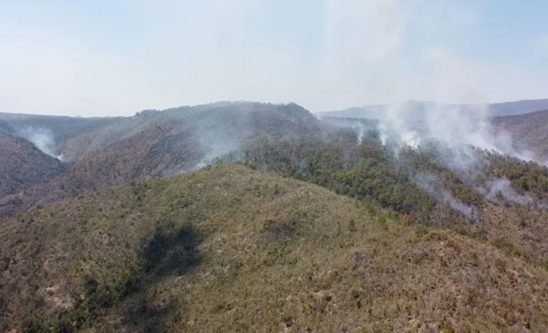 Incendios forestales: Cuba ha perdido casi 14.000 hectáreas de bosque en los primeros meses del año