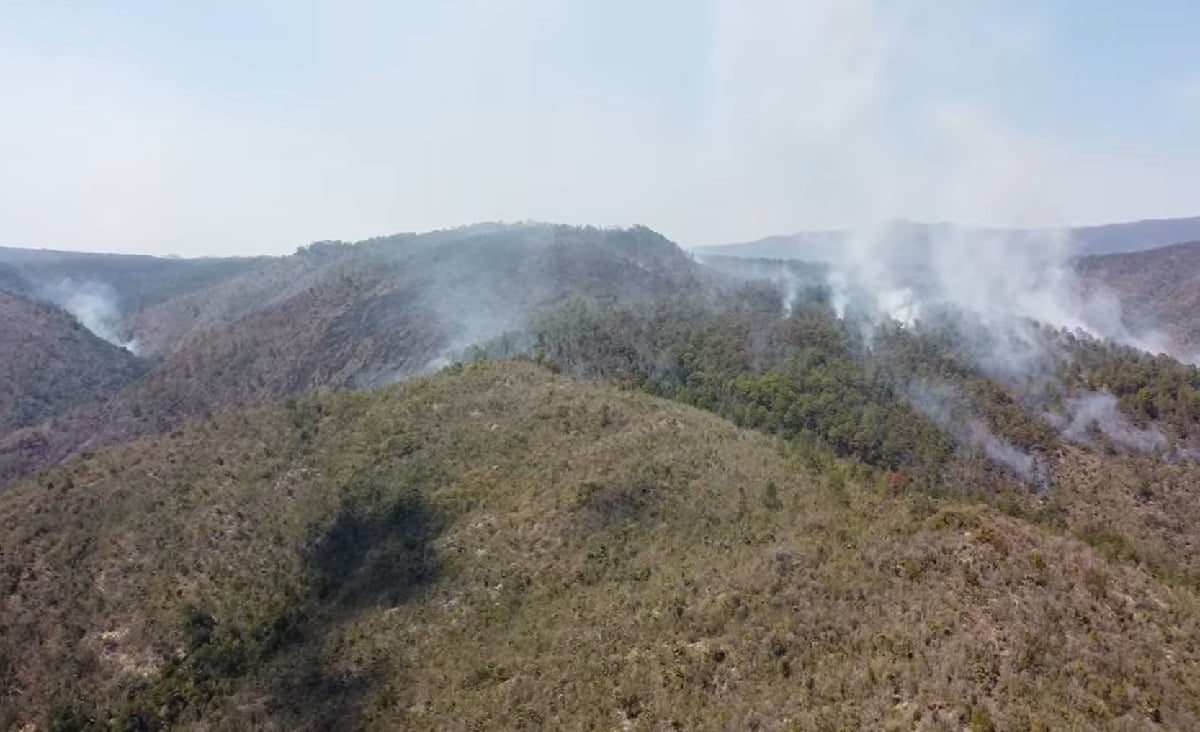 Casi 5.000 hectáreas han sido dañadas por el incendio en Mayarí.