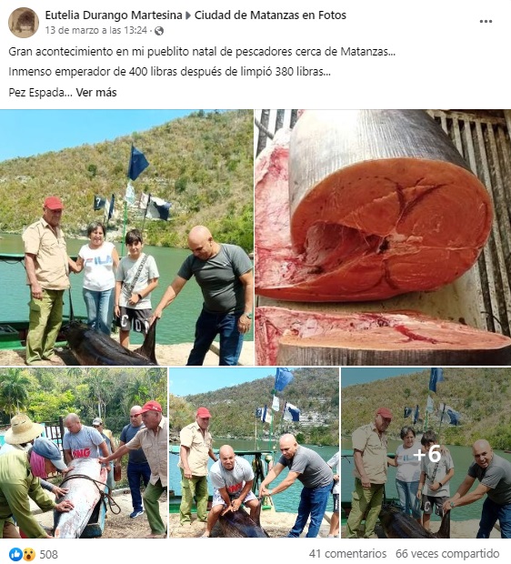 Pescadores de Matanzas capturaron un pez espada de casi 200 kilos. (Captura de pantalla: Eutelia Durango Martesina-Facebook)