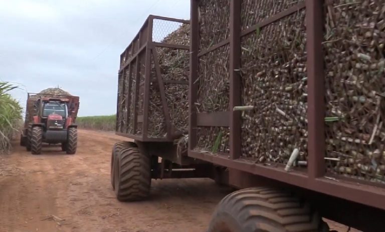 Custodio es sentenciado a cuatro años en prisión por el robo de tres costales de azúcar en Matanzas