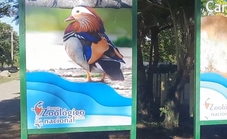 El Zoológico Nacional de Cuba cierra sus puertas al público por escasez de combustible