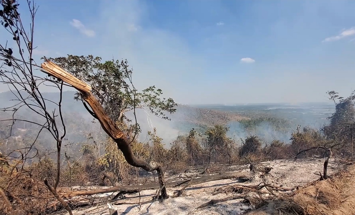 Pinar del Río: reportan un incendio forestal en los bosques de Mantua