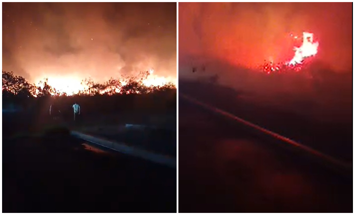 Holguín: reportan incendio forestal cerca de la central eléctrica de Moa