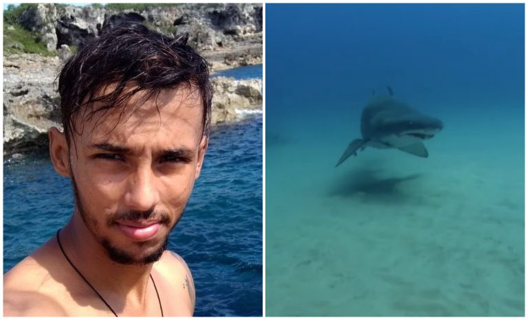 Mayabeque: joven pescador fallece tras el ataque de un tiburón toro