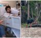 Joven pierde un brazo tras el ataque de un caimán de 3 metros en Florida
