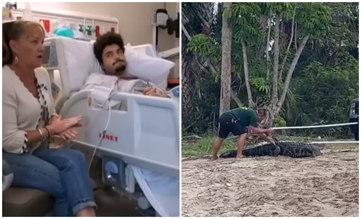 Joven pierde un brazo tras el ataque de un caimán de 3 metros en Florida