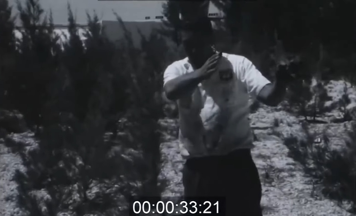 Florida: resuelven un misterioso asesinato ocurrido en 1961. (Captura de pantalla: NBC News-YouTube)