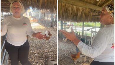 Cubana en Florida ofrece recompensa de 5.000 dólares para dar con quién robó animales en su granja