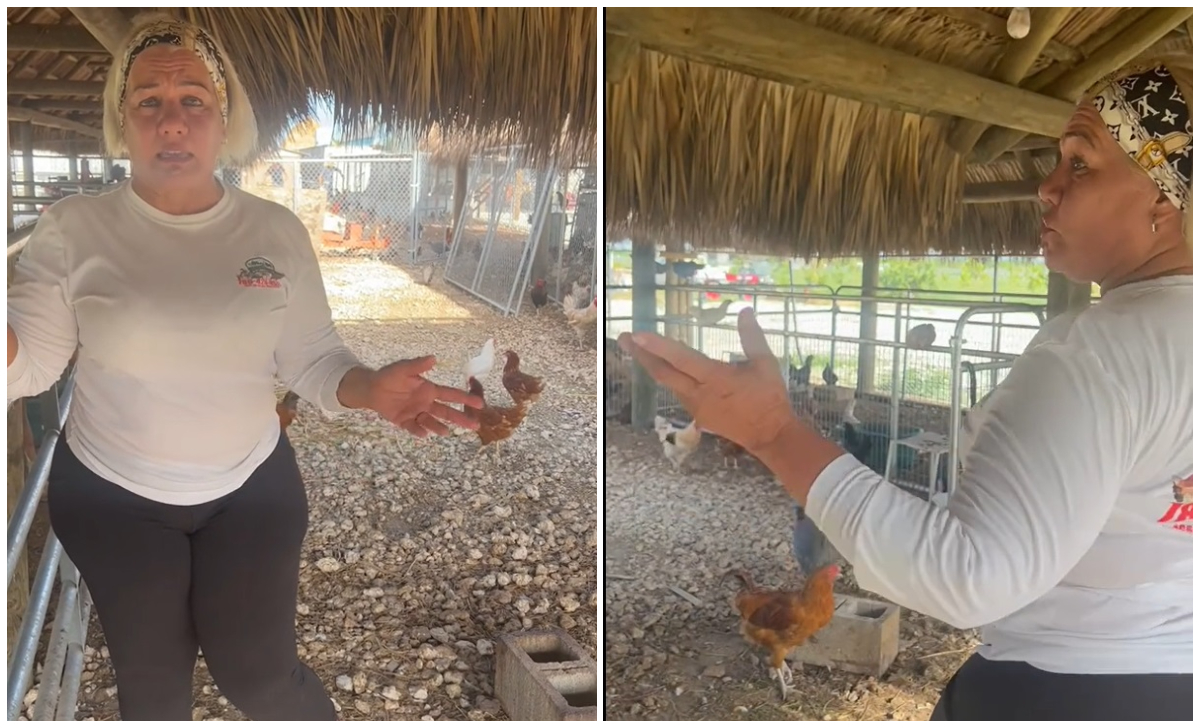 Cubana en Florida ofrece recompensa de 5.000 dólares para dar con quién robó animales en su granja