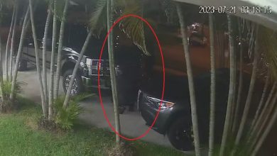 Cubano denuncia robo de camioneta. (Captura de pantalla: AmericaTeVe Miami-YouTube)