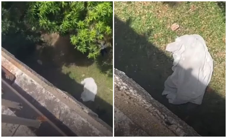 La Habana: encuentran cuerpo debajo del Puente Almendares