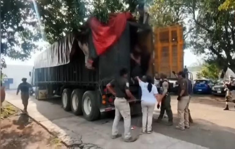 México: cubanos entre cientos de migrantes descubiertos hacinados dentro de camiones