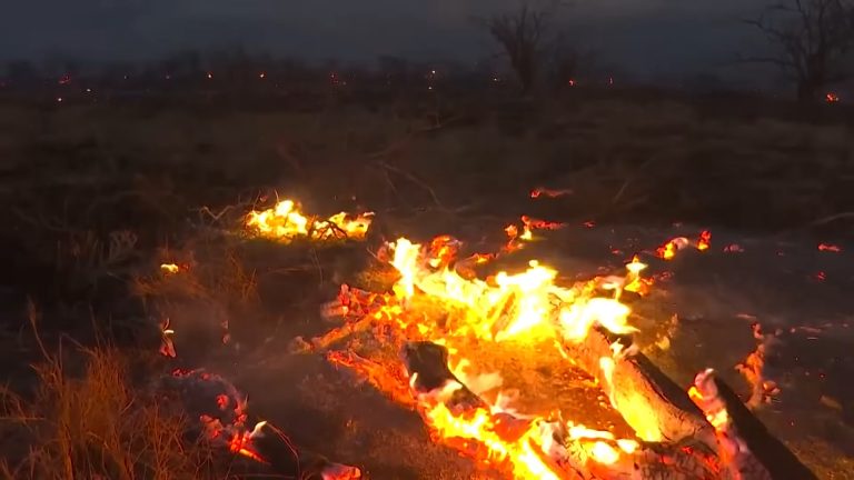 Incendios forestales en Hawái han provocado la muerte de más de 50 personas