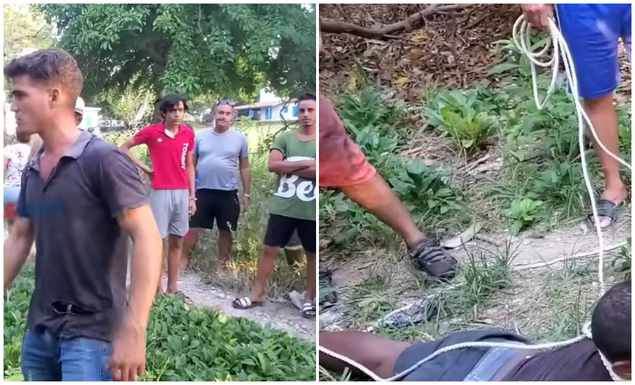 Vecinos de La Habana detienen a ladrón que intentó asesinar a alguien durante un asalto. (Captura de pantalla: NoticiasCubanet Cuba-YouTube)