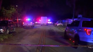 Florida: niño de 10 años muere tras dispararse por accidente con un arma