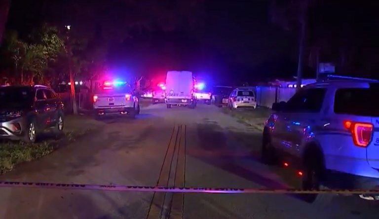 Florida: niño de 10 años muere tras dispararse por accidente con un arma