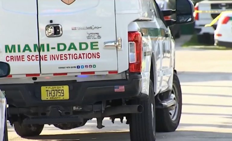 Miami-Dade: niño cubano de dos años muere ahogado en una piscina