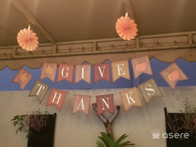 ¿Qué se celebra el Día de Acción de Gracias?