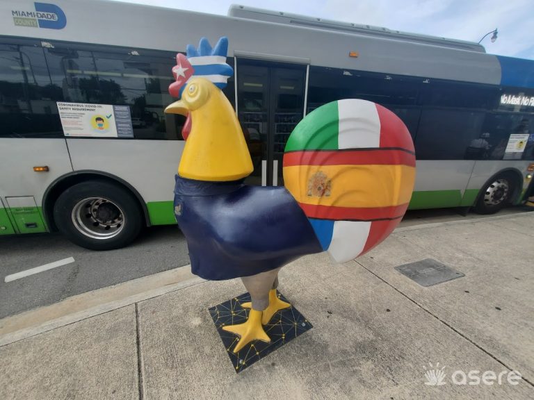 Este lunes inicia periodo de transporte público gratuito en Miami-Dade