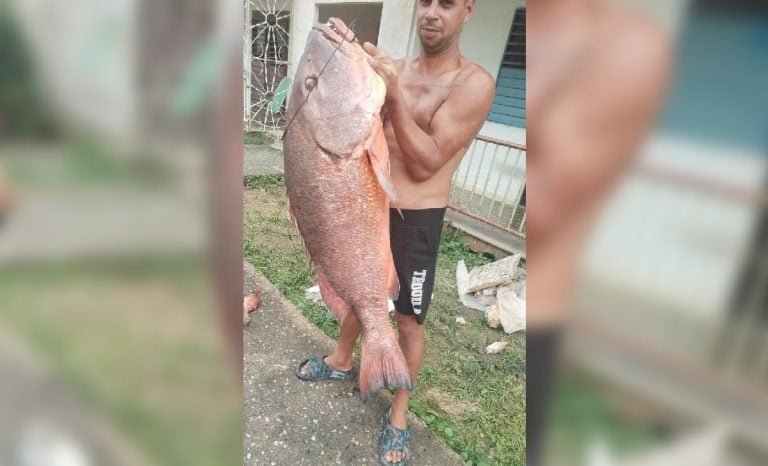 Atrapan una cubera gigante de 50 libras en Mayarí