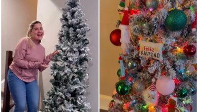 Giselle González con su árbol de navidad. (Captura de pantalla © Gisellegonzalezactriz- Instagram)