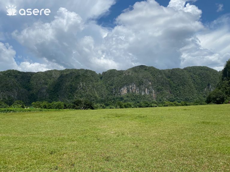 Encuentran el fósil de un ictiosaurio en Pinar del Río