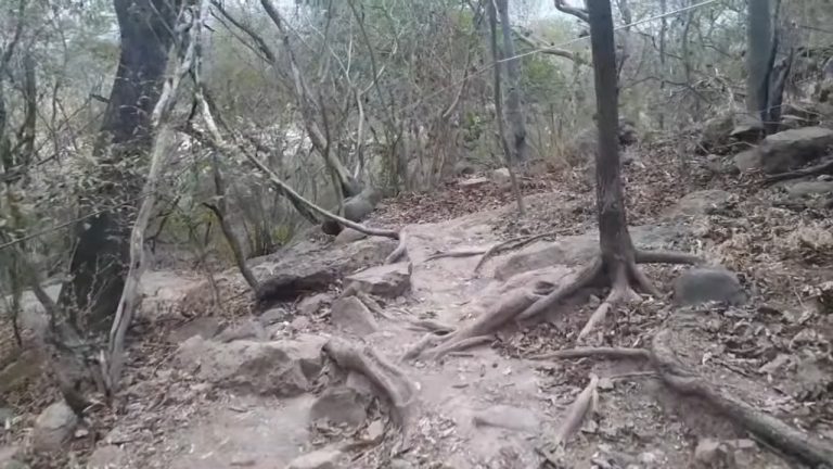 México: rescatan a una familia cubana que se perdió cerca de la frontera