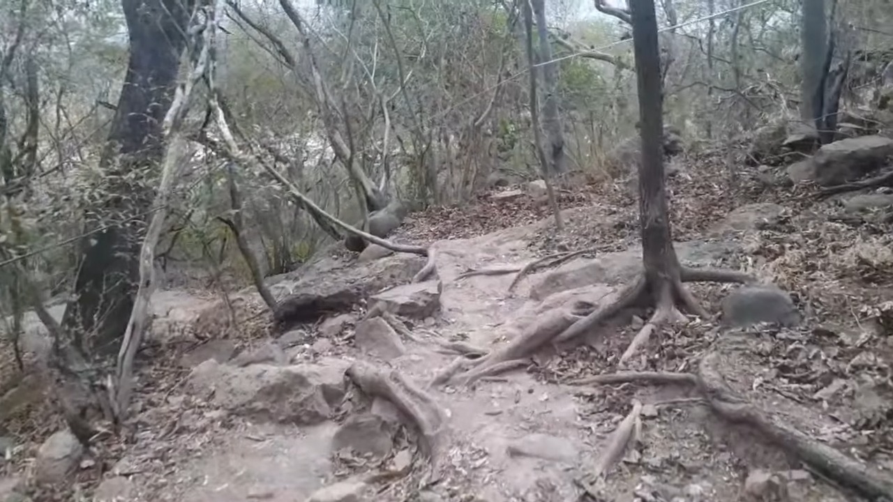 Zona cercana a donde se extravió la familia cubana. (Captura de pantalla © Cruzando Fronteras-YouTube)