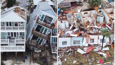 Serie de tornados provocan destrozos al noroeste de Florida. (Captura de pantalla © Royally Sage-Twitter)