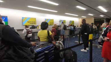 Imagen ilustrativa del Aeropuerto de Tampa, en Florida. (Captura de pantalla © Wonerliv Travel-YouTube)