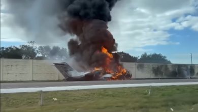 Identifican a los dos fallecidos del accidente de avión en la I-75. (Captura de pantalla © WPLG Local 10-YouTube)