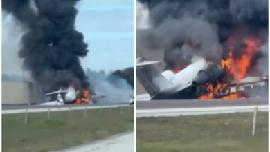 Imágenes del avión que se estrelló en la I-75. (Captura de pantalla © WPLG Local 10-YouTube)
