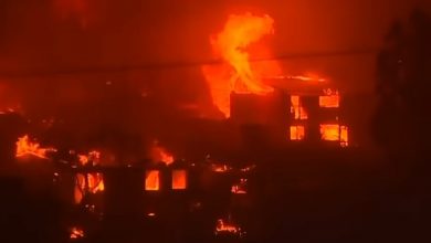 Incendios forestales fuera de control han dejado más de 100 muertes en Chile. (Captura de pantalla © Noticias Telemundo-YouTube)
